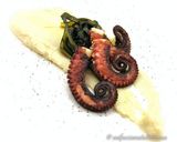 Foto del passaggio 9 della ricetta Polpo Croccante alla Piastra con Fave e Cicorietta