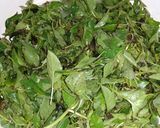 Foto langkah ke 6 dari resep Tongkol suir bunga kecombrang.
