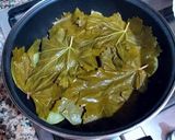 Foto del paso 13 de la receta: Hojas de Parra rellenas de carne picada con menta y cítricos
