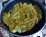 Foto del paso 13 de la receta: Hojas de Parra rellenas de carne picada con menta y cítricos