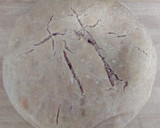 Foto del paso 2 de la receta: Pan
