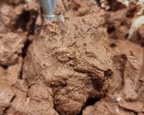 Foto del paso 5 de la receta: Mousse de chocolate de Tofu