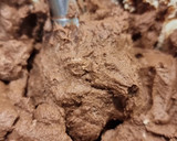 Foto del paso 5 de la receta: Mousse de chocolate de Tofu