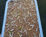 A picture of step 9 of Mohan Thaal (gram flour fudge).
