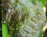 Foto del paso 2 de la receta: Quesapupusas