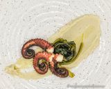 Foto del passaggio 8 della ricetta Polpo Croccante alla Piastra con Fave e Cicorietta