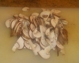 Foto del paso 1 de la receta: Lasaña de setas