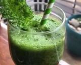 Foto langkah ke 4 dari resep Kale Orange juice.