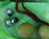 Foto langkah ke 1 dari resep Telur Dadar Rumahan.
