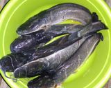 Foto langkah ke 1 dari resep Nugget Ikan Lele.