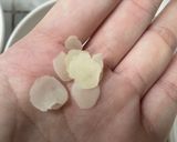 Hình bước làm 1 của món Chè Dưỡng Nhan