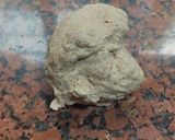 Foto del paso 1 de la receta: Taquitas de harina integral