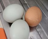 Foto langkah ke 2 dari resep Telur Dadar Padang (telur bebek).
