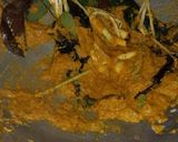 Foto langkah ke 1 dari resep Kuah laksa ala basria.