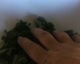 Foto del paso 1 de la receta: Ensalada de Col kale con guacamole
