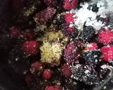 A picture of step 2 of Mulberry shots.