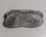 Foto langkah ke 12 dari resep Charcoal Jinten Hitam Italian Herbs Cheese Sourdough Bread.
