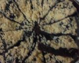 Foto langkah ke 4 dari resep Brownies panggang tanpa oven anti gagal.