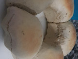 Pancitos saborizados hecho en savarin