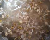 Sprouted Multi Pulse Flour recipe step 3 photo