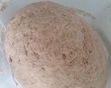 Foto del paso 3 de la receta: Pizza de harina integral