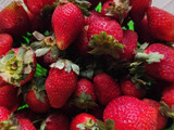 503. Milky Pudding with Strawberry Sauce