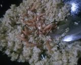 Foto langkah ke 3 dari resep Nasgor Teri Cabe Idjo Daun Kari.