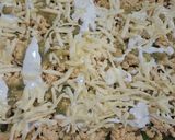 Foto del paso 5 de la receta: Pastel azteca verde