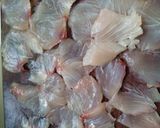 Foto del paso 5 de la receta: Tiradito Tricolor