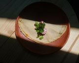 Foto del paso 7 de la receta: Empanadas de mole amarillo