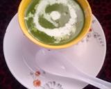 પાલક સૂપ (palak soup recipe in Gujarati) રેસીપી સ્ટેપ6ફોટો