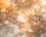 A picture of step 8 of Memoni Mutton Pulao.
