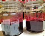 Foto del paso 6 de la receta: Mermelada y sirope de higos chumbos