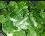 વેજીટેબલ જ્યુસ (Vegetable Juice Recipe In Gujarati) રેસીપી સ્ટેપ2ફોટો