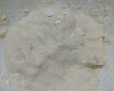 Foto del paso 2 de la receta: Calzones