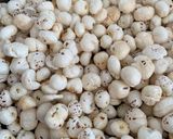 મસાલા મખાના (Masala Makhana Recipe In Gujarati) રેસીપી સ્ટેપ1ફોટો