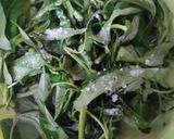Foto langkah ke 1 dari resep Ca kangkung simpel.