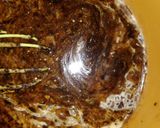Foto langkah ke 2 dari resep Mochi Brownies.
