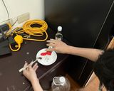 假胡麻涼拌雞絲的食譜步驟6照片