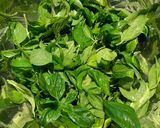 Foto langkah ke 1 dari resep Pesto Sauce.