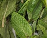 Mint dip/Pudina thogayal recipe step 1 photo