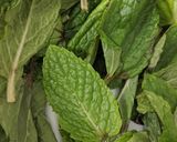 A picture of step 1 of Mint dip/Pudina thogayal.