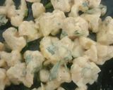 A picture of step 3 of Gobi 65.