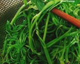 Hình bước làm 2 của món Rau Muống Xào Tỏi