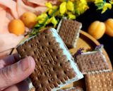 عکس مرحله 2 از دستور بیسکو بستنی solmaz