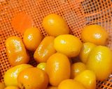 Foto del paso 2 de la receta: Quinotos en almíbar al whisky