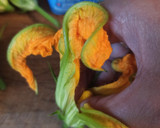Foto del paso 3 de la receta: Flores de calabacín rellenas de queso