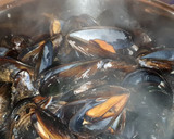 Foto del paso 3 de la receta: Empanada de Mejillones