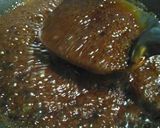 Foto langkah ke 2 dari resep Ampyang kacang.