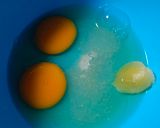 Foto langkah ke 1 dari resep Bolu Gulung Abon 2 Telur.